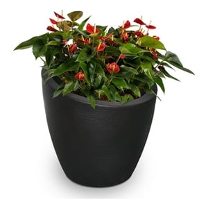 Mayne Modesto 30&quot Round Weatherproof Modern Plastic Planter in Black