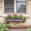Mayne Fairfield 5ft Traditional Plastic Window Box in Espresso