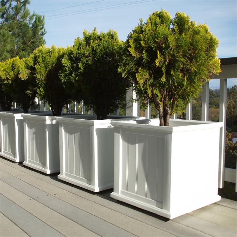 Mayne Cape Cod 20x20