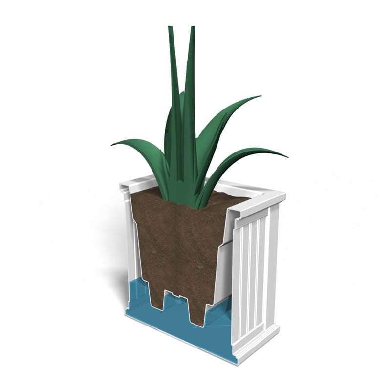 Mayne Cape Cod 20x20