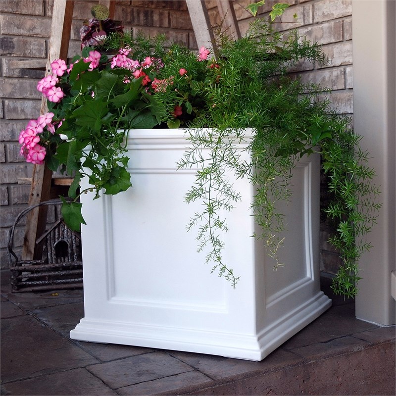 Mayne Fairfield 20x20