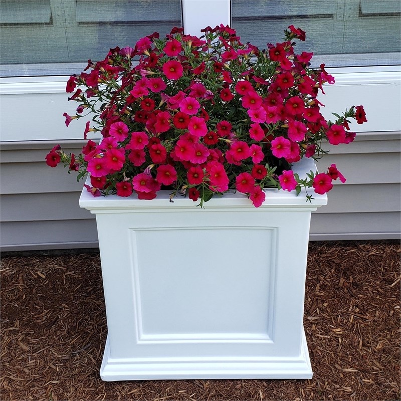 Mayne Fairfield 20x20