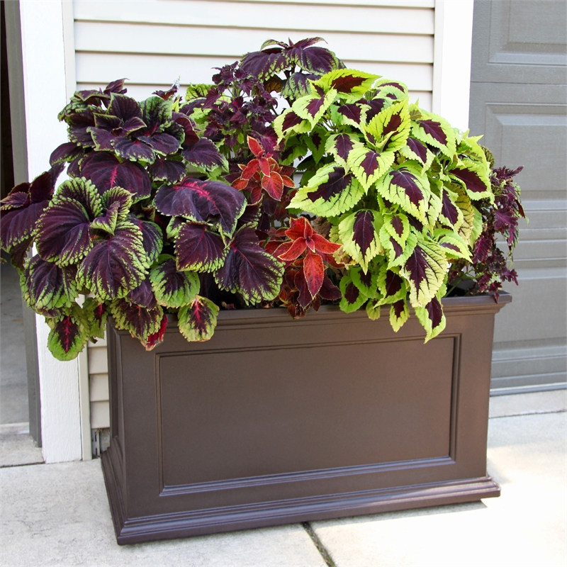 Mayne Fairfield 20x36 Weatherproof Traditional Plastic Planter in Espresso