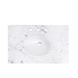 20 in. Oval White Finish Ceramic Undermount Vanity Sink