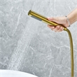 Brulon Double Handle Floor Mounted Tub Filler with Handshower in Brushed Gold