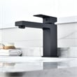 Aalst Single Hole Single Handle Bathroom Faucet in Matte Black