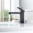 Aalst Single Hole Single Handle Bathroom Faucet in Matte Black