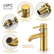 Tubize Single Hole Single-Handle Bathroom Faucet in Brushed Gold