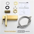 Sassor Single Hole Single-Handle Waterfall Bathroom Faucet in Brushed Gold