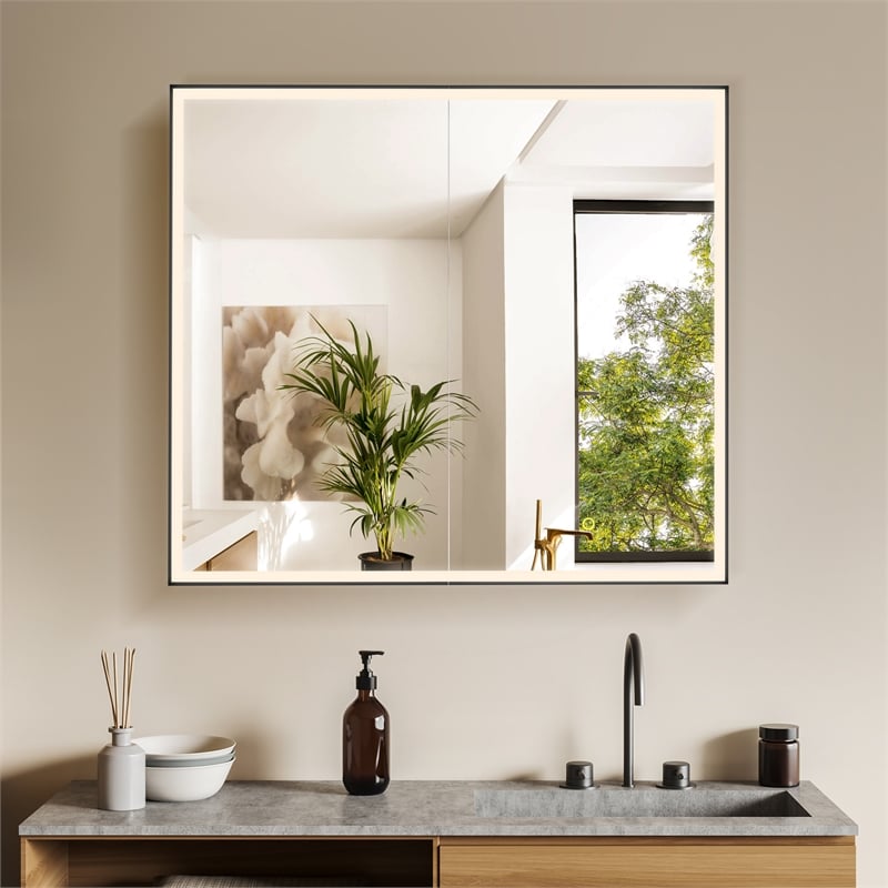 Fenice 36