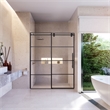 Sankiz Single Sliding Frameless Shower Door with Clear Glass