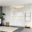 Bolani By Pass Frameless Exposed Roller Shower Door with Clear Glass