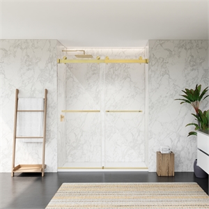 Bolani By Pass Frameless Exposed Roller Shower Door with Clear Glass