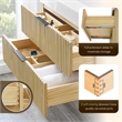 Livia 36