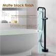 Florin Brass Freestanding Tub Faucet in Matte Black with Handshower