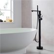 Allario Gleaming Brass Freestanding Tub Faucet in Matte Black with Handshower