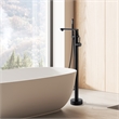 Allario Gleaming Brass Freestanding Tub Faucet in Matte Black with Handshower