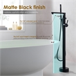 Allario Gleaming Brass Freestanding Tub Faucet in Matte Black with Handshower