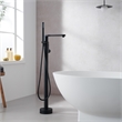 Allario Gleaming Brass Freestanding Tub Faucet in Matte Black with Handshower