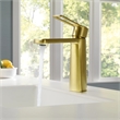 Paula Single Hole Single-Handle Brass Bathroom Faucet in Brushed Gold
