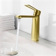 Paula Single Hole Single-Handle Brass Bathroom Faucet in Brushed Gold
