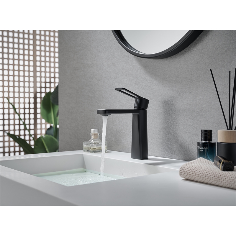 Paula Single Hole Single-Handle Brass Bathroom Faucet in Matte Black