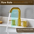 Versace 8. in Widespread 2-Handle Brass Bathroom Faucet in Brushed Gold