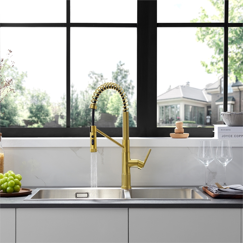 Nette Single-Handle Brass Kitchen Faucet with Pull Down Sprayer in Brushed Gold