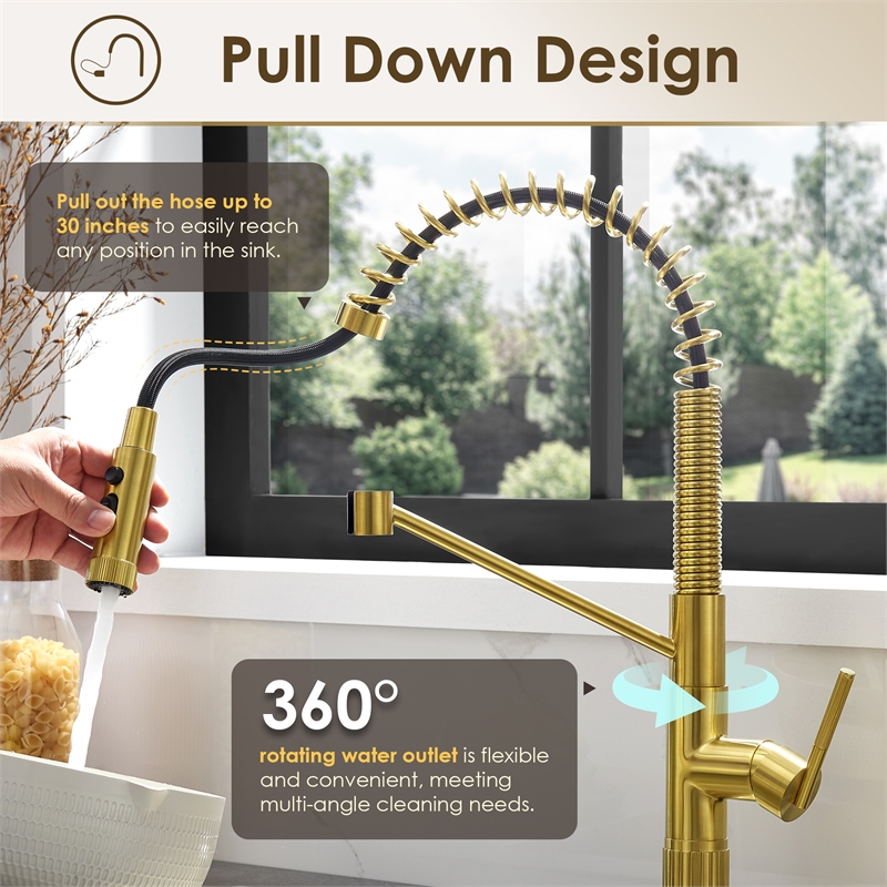 Nette Single-Handle Brass Kitchen Faucet with Pull Down Sprayer in Brushed Gold