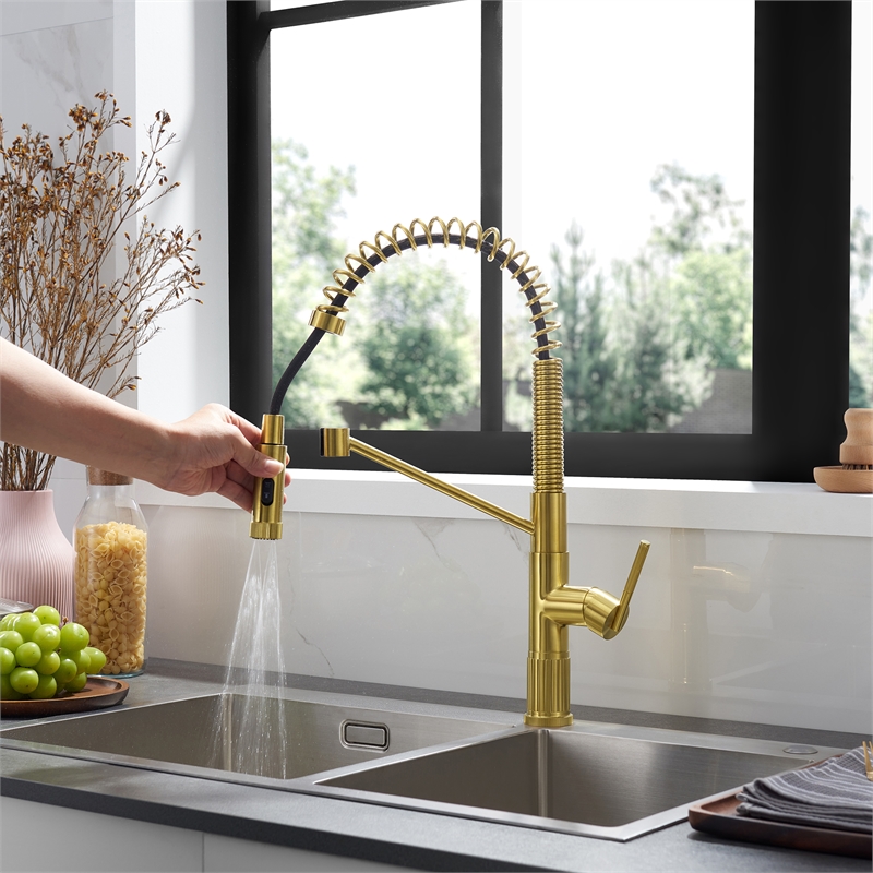 Nette Single-Handle Brass Kitchen Faucet with Pull Down Sprayer in Brushed Gold