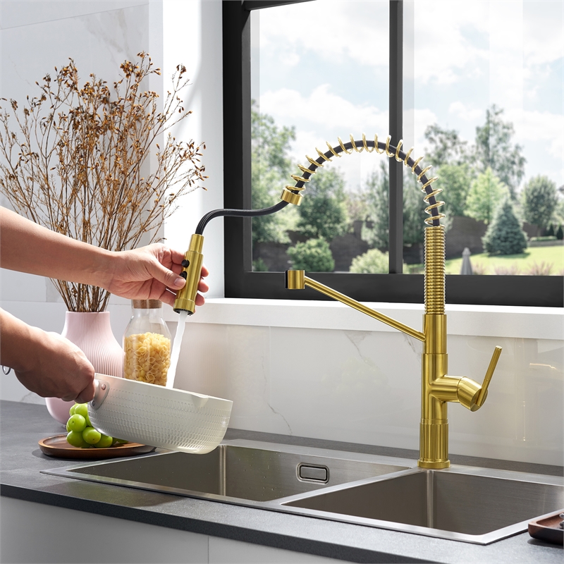Nette Single-Handle Brass Kitchen Faucet with Pull Down Sprayer in Brushed Gold