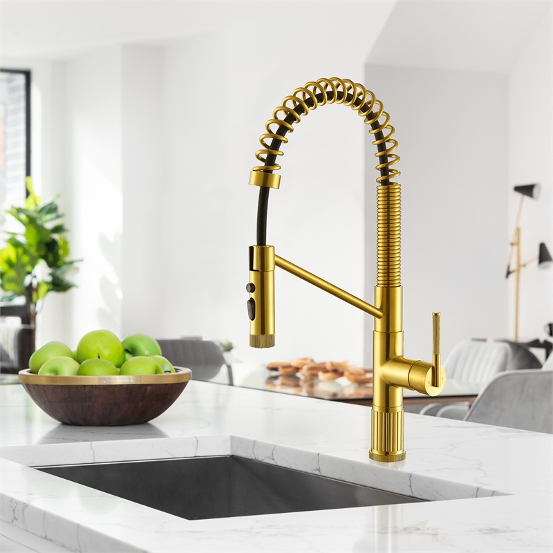 Nette Single-Handle Brass Kitchen Faucet with Pull Down Sprayer in Brushed Gold