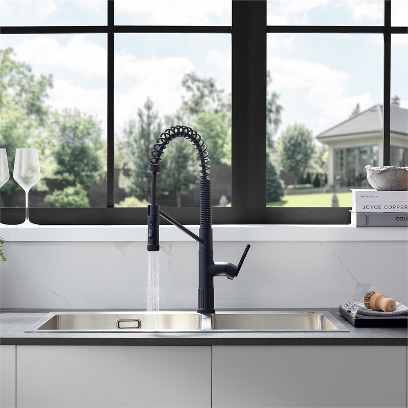 Nette Single-Handle Brass Kitchen Faucet with Pull Down Sprayer in Matte Black