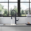 Nette Single-Handle Brass Kitchen Faucet with Pull Down Sprayer in Matte Black