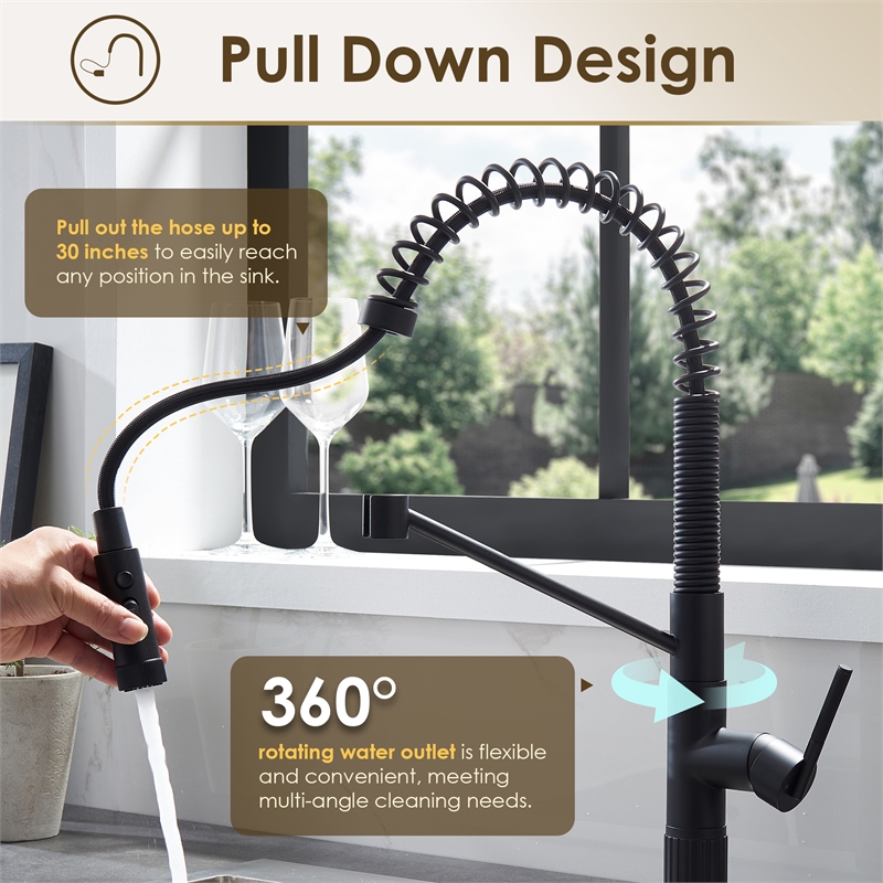 Nette Single-Handle Brass Kitchen Faucet with Pull Down Sprayer in Matte Black