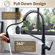 Nette Single-Handle Brass Kitchen Faucet with Pull Down Sprayer in Matte Black