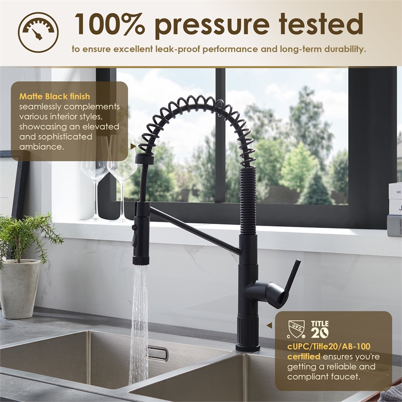 Nette Single-Handle Brass Kitchen Faucet with Pull Down Sprayer in Matte Black