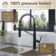 Nette Single-Handle Brass Kitchen Faucet with Pull Down Sprayer in Matte Black