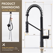 Nette Single-Handle Brass Kitchen Faucet with Pull Down Sprayer in Matte Black