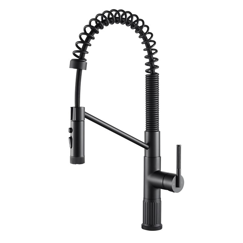 Nette Single-Handle Brass Kitchen Faucet with Pull Down Sprayer in Matte Black