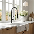 Nette Single-Handle Brass Kitchen Faucet with Pull Down Sprayer in Matte Black