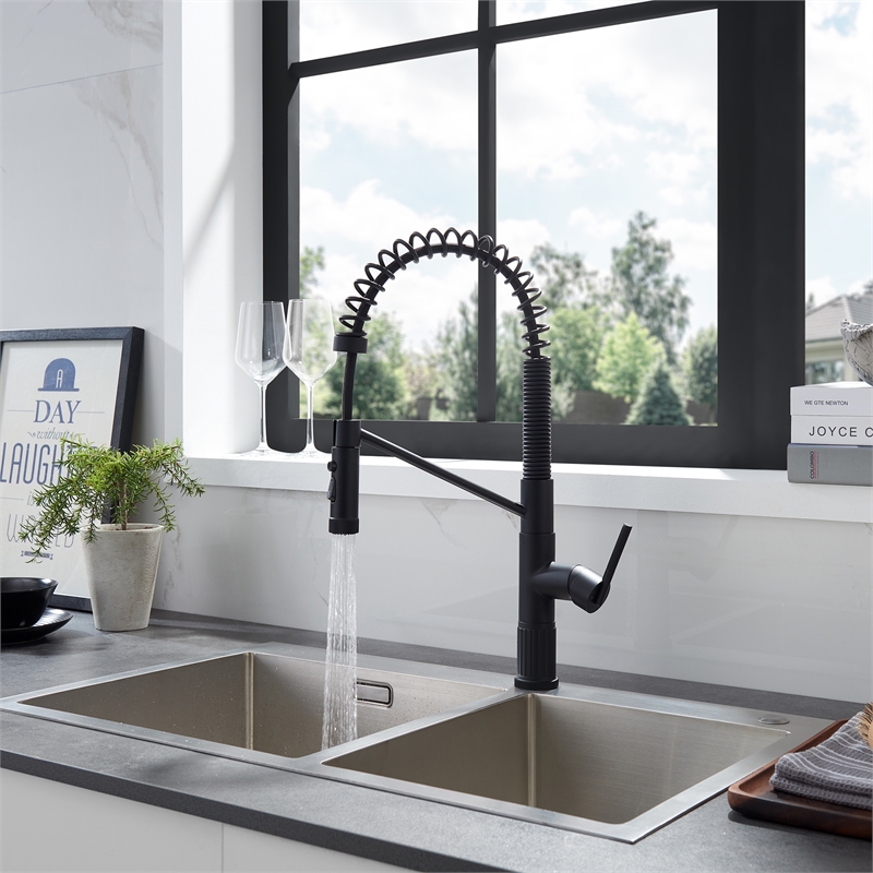 Nette Single-Handle Brass Kitchen Faucet with Pull Down Sprayer in Matte Black