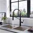 Nette Single-Handle Brass Kitchen Faucet with Pull Down Sprayer in Matte Black