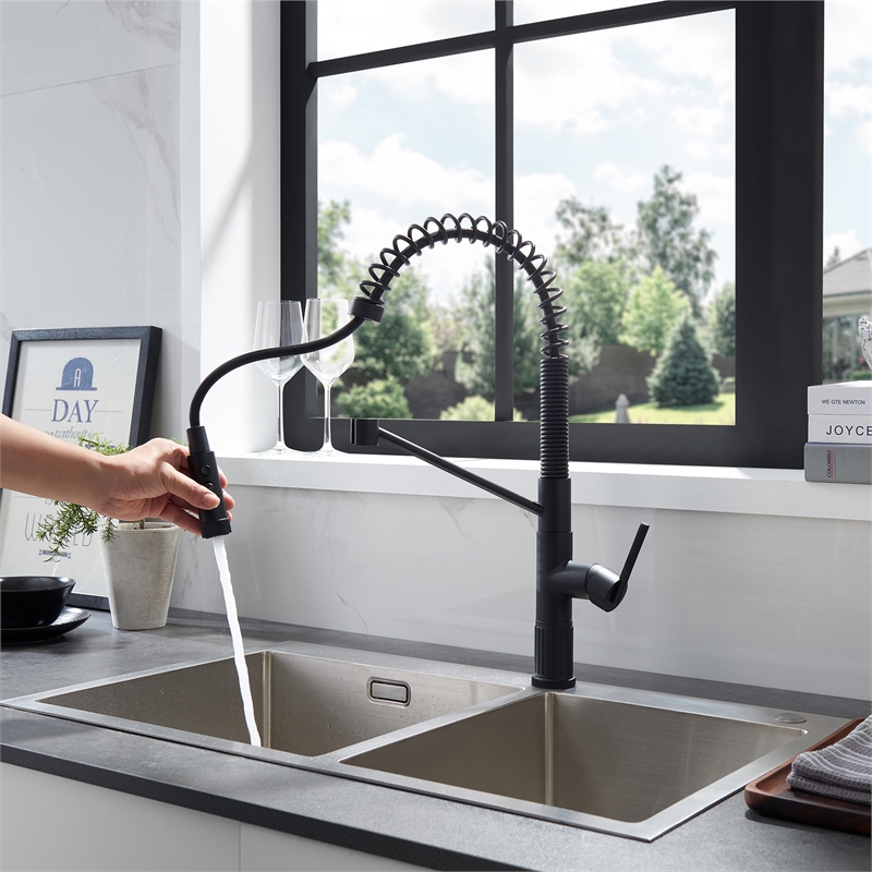 Nette Single-Handle Brass Kitchen Faucet with Pull Down Sprayer in Matte Black