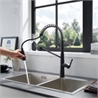 Nette Single-Handle Brass Kitchen Faucet with Pull Down Sprayer in Matte Black