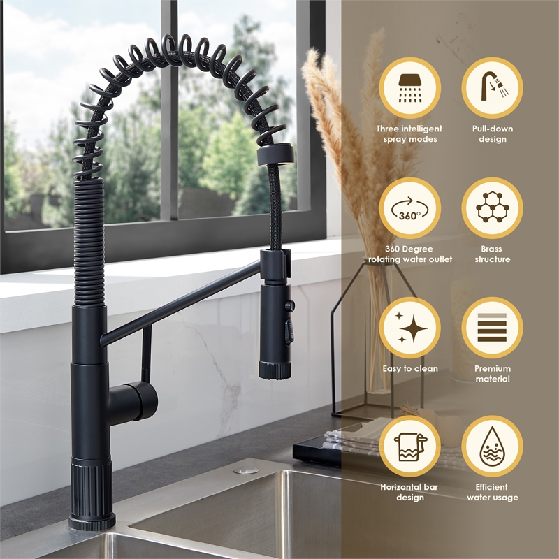 Nette Single-Handle Brass Kitchen Faucet with Pull Down Sprayer in Matte Black