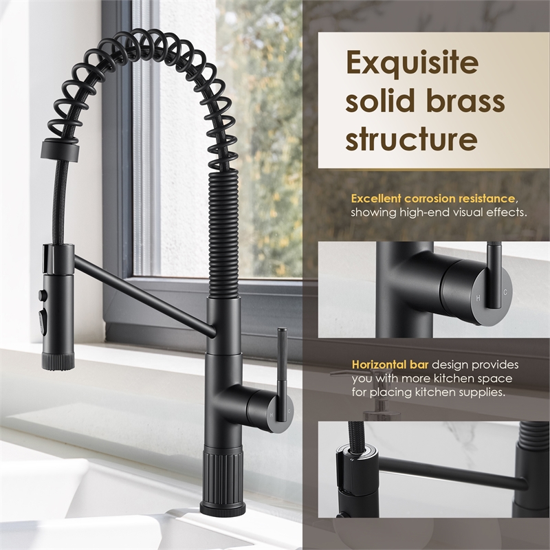 Nette Single-Handle Brass Kitchen Faucet with Pull Down Sprayer in Matte Black