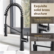 Nette Single-Handle Brass Kitchen Faucet with Pull Down Sprayer in Matte Black