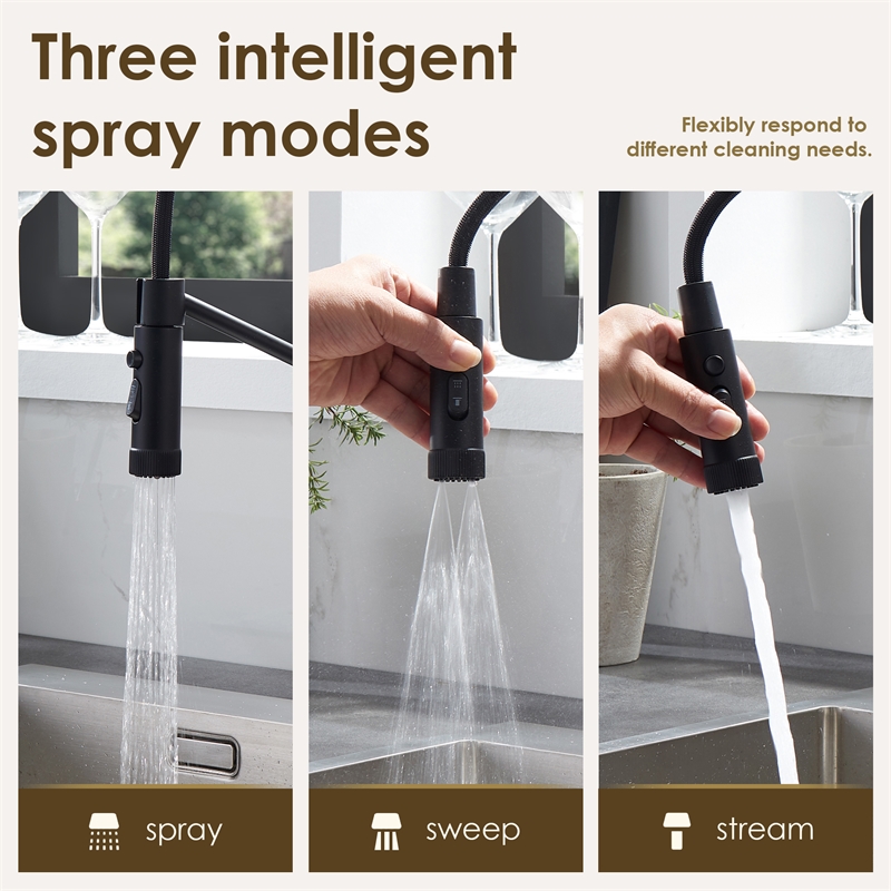 Nette Single-Handle Brass Kitchen Faucet with Pull Down Sprayer in Matte Black