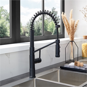 Nette Single-Handle Brass Kitchen Faucet with Pull Down Sprayer in Matte Black